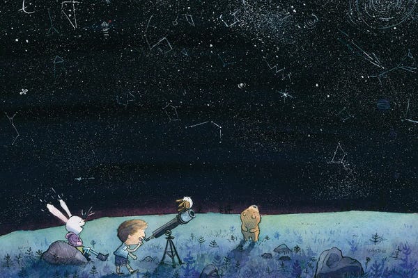 Stargazers: Stargazing by Dan Tavis