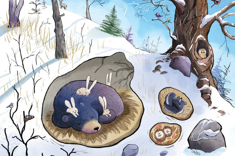 Bear Sleeps by Dan Tavis wall art