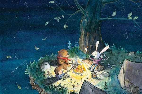 Camping: Starry Night By Fire Light by Dan Tavis