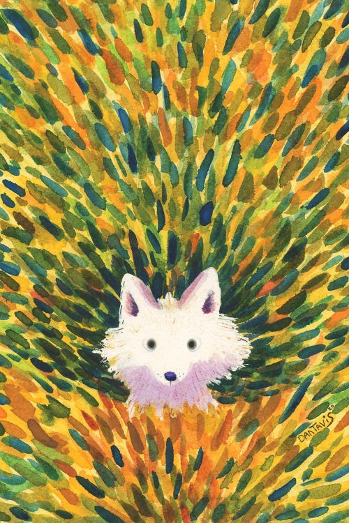 White Fox by Dan Tavis wall art