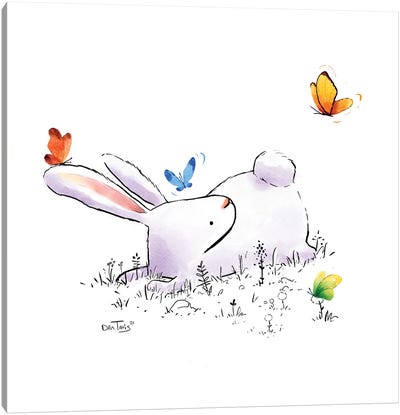 Bunny And 4 Butterflies Canvas Art Print - Dan Tavis