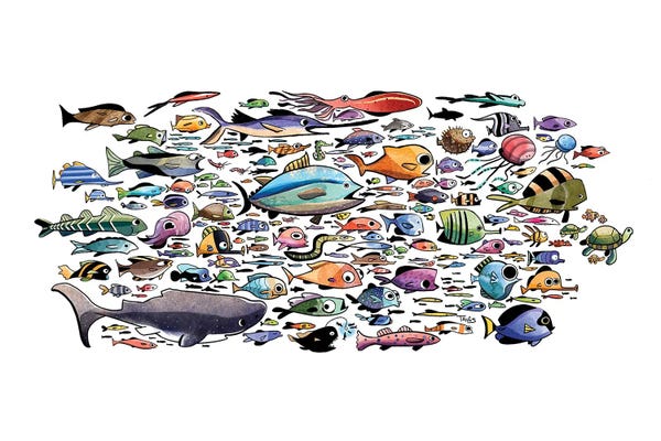 Kids Ocean Life Art: Fish Are Everywhere by Dan Tavis