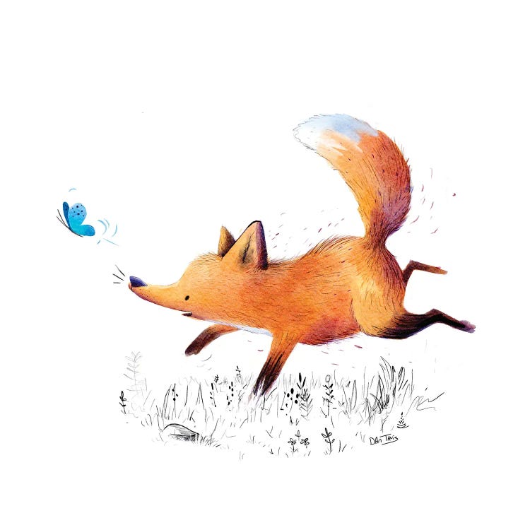 Fox And Butterfly