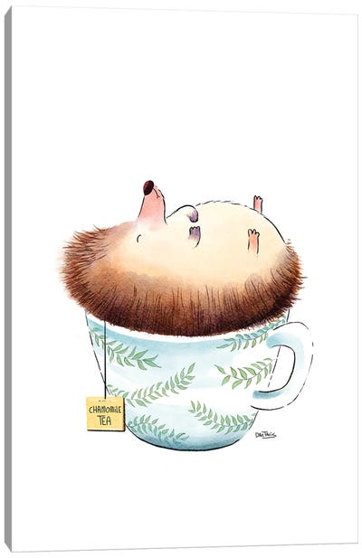 Sleeping Hedgehog Canvas Art Print - Dan Tavis