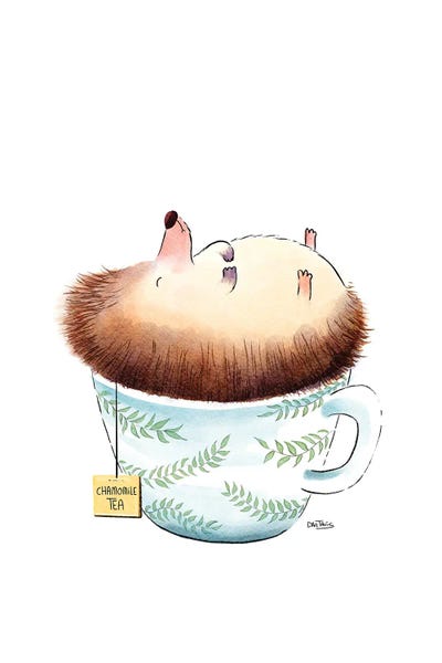 Hedgehogs: Sleeping Hedgehog by Dan Tavis