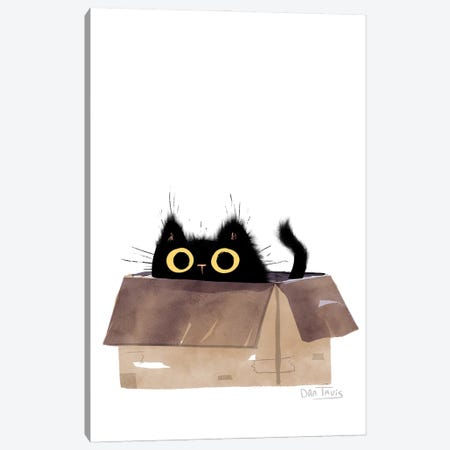 Black Cat In Box Canvas Print #DTV70} by Dan Tavis Canvas Artwork