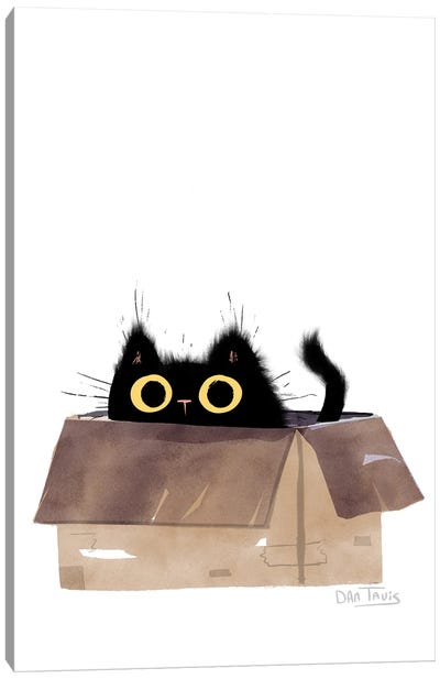 Black Cat In Box Canvas Art Print - Black Cat Art