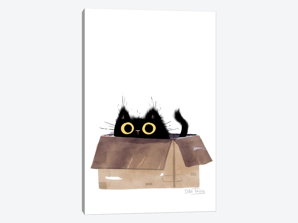 Black Cat In Box by Dan Tavis 1-piece Canvas Art Print