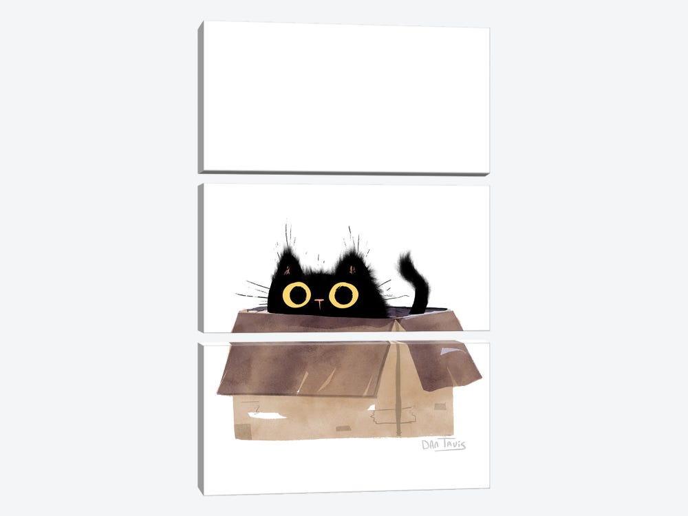 Black Cat In Box by Dan Tavis 3-piece Art Print