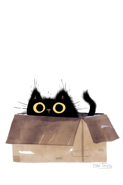 Office Humor: Black Cat In Box by Dan Tavis