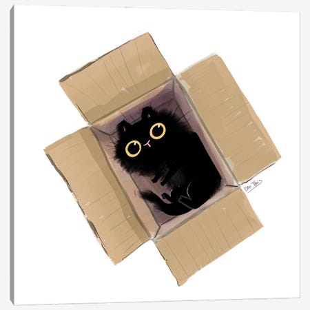 Black Cat In Box II Canvas Print #DTV71} by Dan Tavis Canvas Artwork