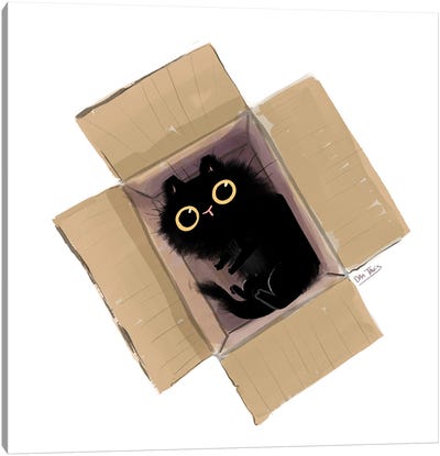 Black Cat In Box II Canvas Art Print - Office Humor