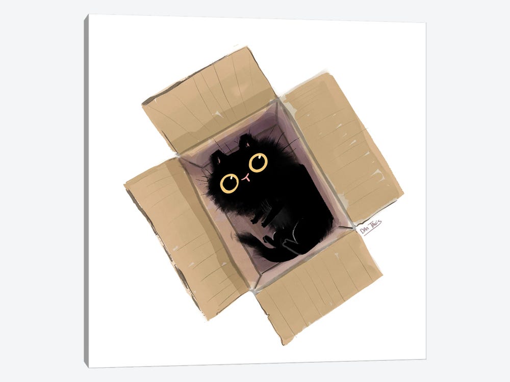 Black Cat In Box II by Dan Tavis 1-piece Canvas Art