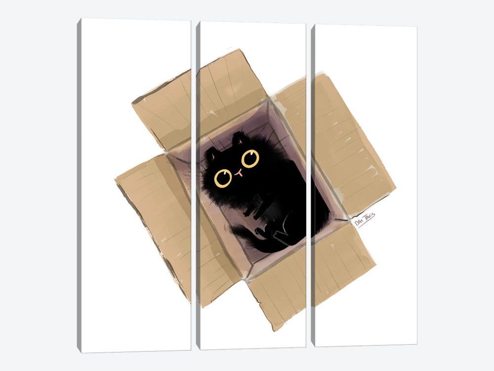 Black Cat In Box II by Dan Tavis 3-piece Canvas Wall Art