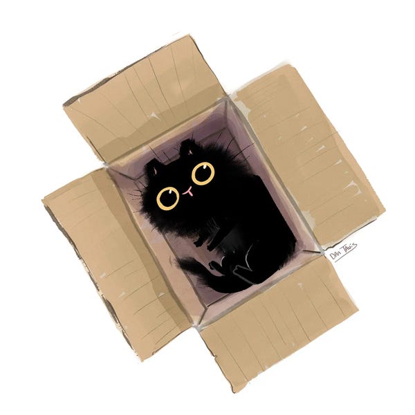 Office Humor: Black Cat In Box II by Dan Tavis