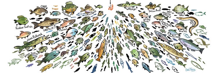 Freshwater Fish