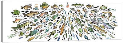 Freshwater Fish Canvas Art Print