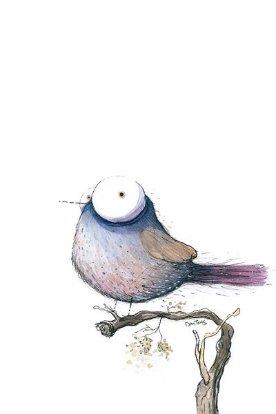 Big Eyed Bird by Dan Tavis framed canvas print