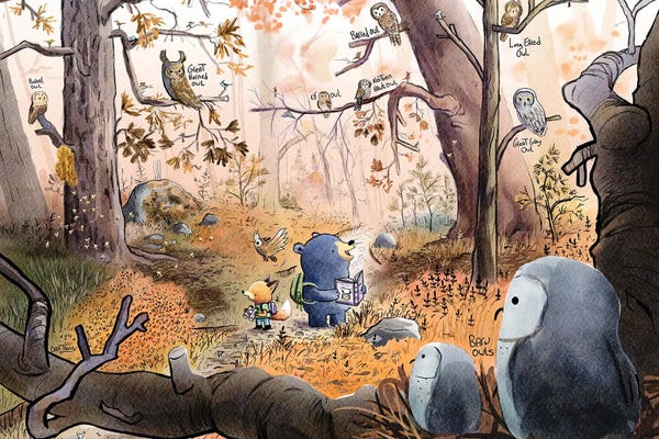 Black Bears: Owls In Fall by Dan Tavis