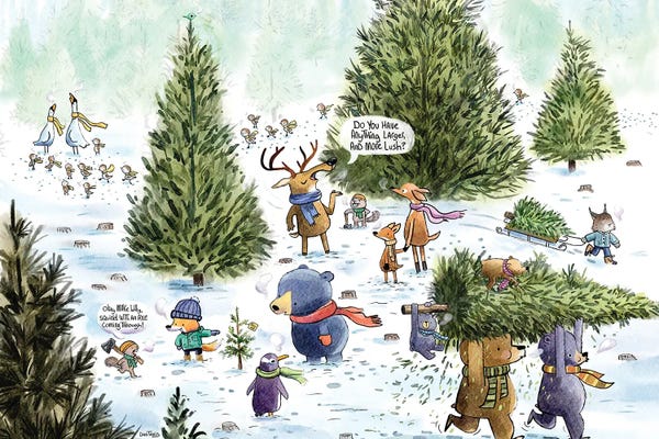 Finding The Perfect Christmas Tree