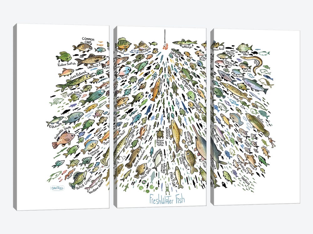 Many Freshwater Fish by Dan Tavis 3-piece Canvas Art