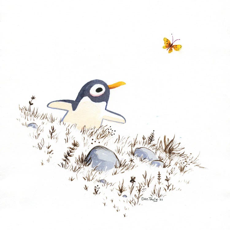 Penguin And Butterfly