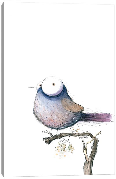 Big Eyed Bird Canvas Art Print - Dan Tavis