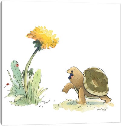 Cute Turtle And Dandelion Canvas Art Print - Dandelion Art
