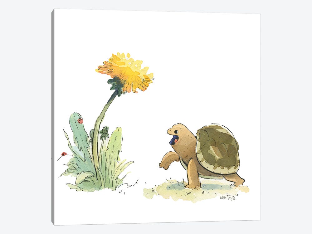 Cute Turtle And Dandelion by Dan Tavis 1-piece Canvas Print
