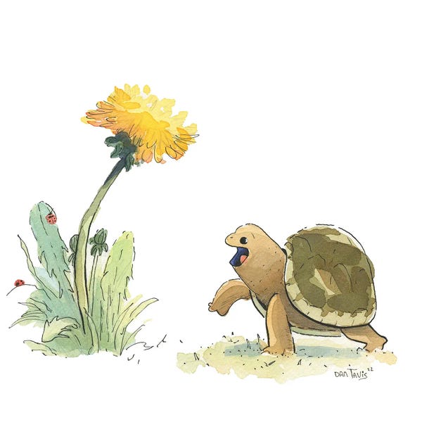 Dandelions: Cute Turtle And Dandelion by Dan Tavis