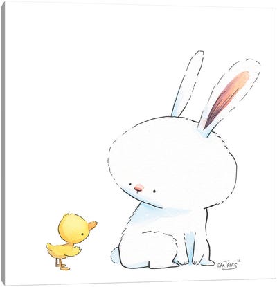 Bunny And Duck - Friendship Canvas Art Print - Dan Tavis