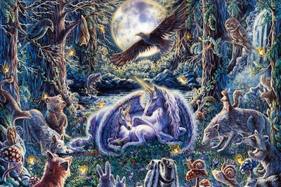 Miracle by Dakota Daetwiler canvas print