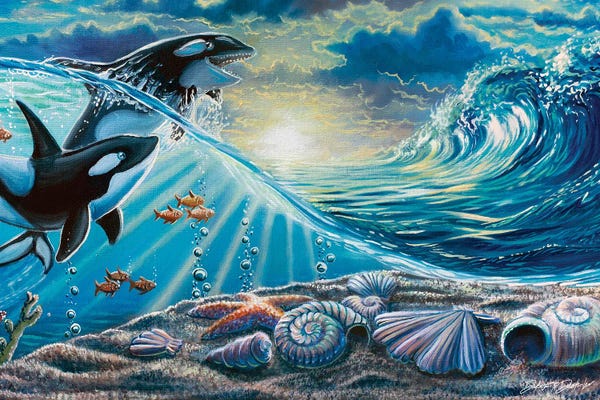 Orcas: Playful Orcas by Dakota Daetwiler