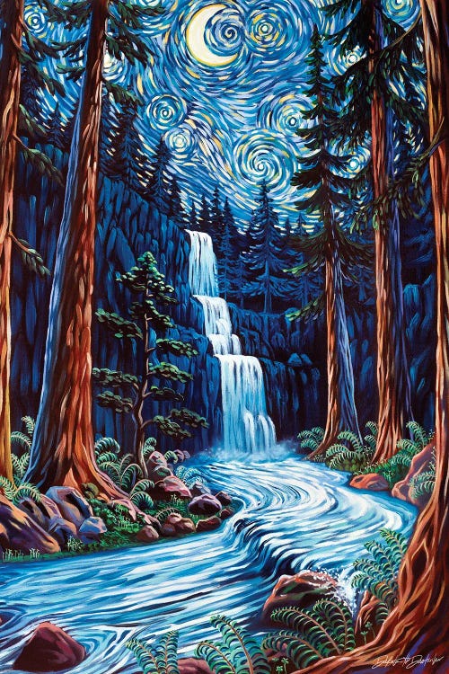 Redwood Starry Night by Dakota Daetwiler wall art