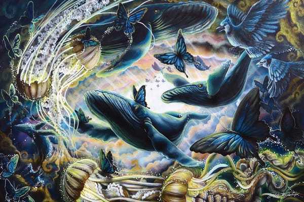 Jellyfish: Close Your Eyes Sealife by Dakota Daetwiler