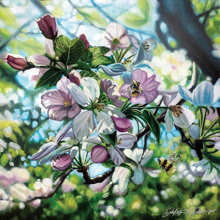 Apple Blossoms And Bumble Bees by Dakota Daetwiler wall art