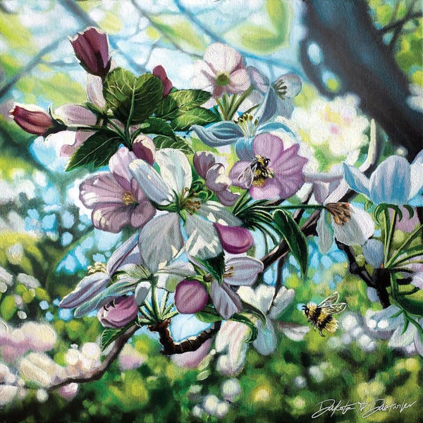 Bees: Apple Blossoms And Bumble Bees by Dakota Daetwiler