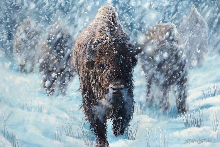 Be The Buffalo by Dakota Daetwiler wall art