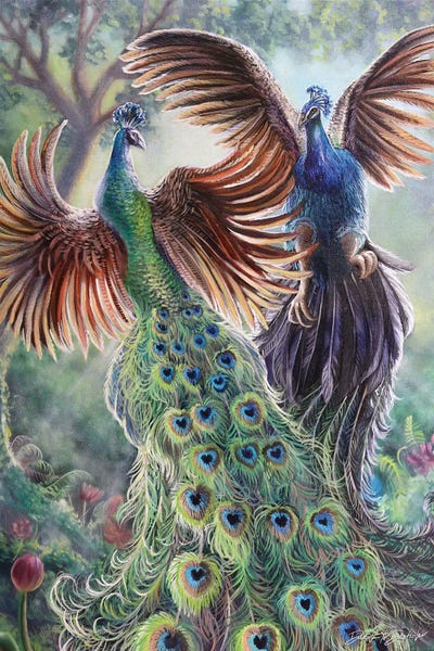Dakota Daetwiler: Birds Of A Feather Peacock by Dakota Daetwiler