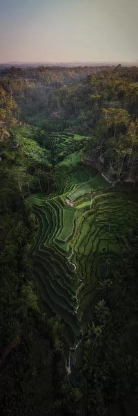Daisuke Uematsu: Bali III by Daisuke Uematsu