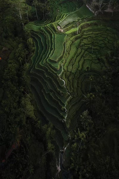 Bali IV by Daisuke Uematsu art print