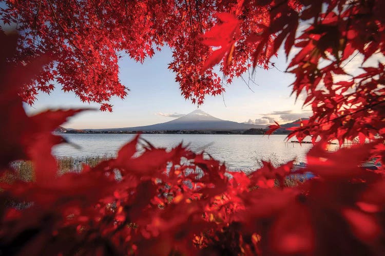 Matsumoto Castle VIII