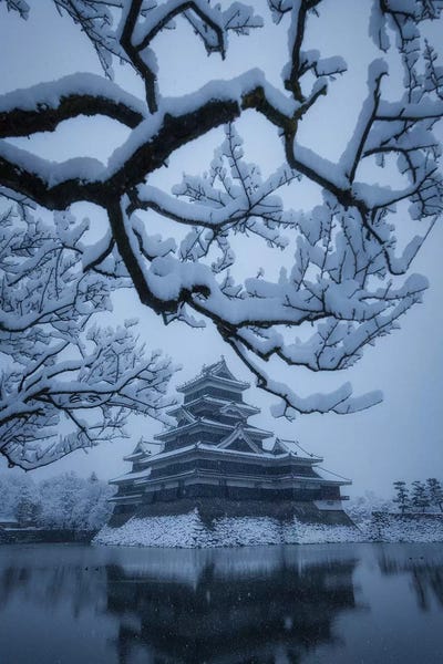 Daisuke Uematsu: Matsumoto Castle X by Daisuke Uematsu