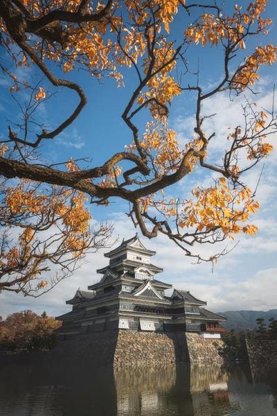 Daisuke Uematsu: Matsumoto Castle XI by Daisuke Uematsu