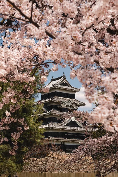 Matsumoto Castle XIII by Daisuke Uematsu wall art