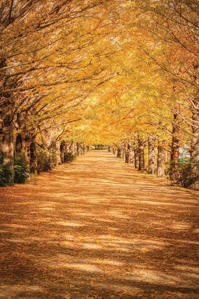 Mt.Fuji: Mount Fuji XVI by Daisuke Uematsu