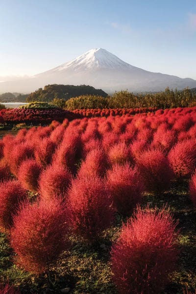 Daisuke Uematsu: Mount Fuji XVII by Daisuke Uematsu