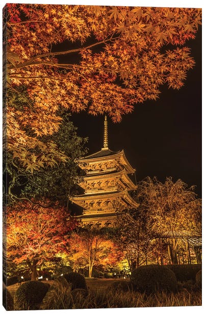 Autumn In Japan XI Canvas Art Print - Daisuke Uematsu 