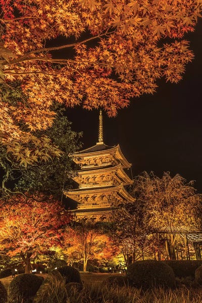 Daisuke Uematsu: Autumn In Japan XI by Daisuke Uematsu
