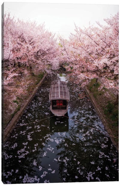 Spring In Japan XXIII Canvas Art Print - Cherry Blossom Art